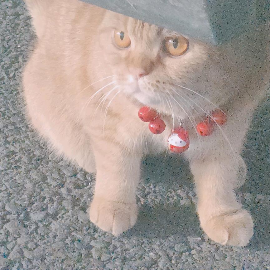 󠀀󠀀󠀀󠀀天静纱