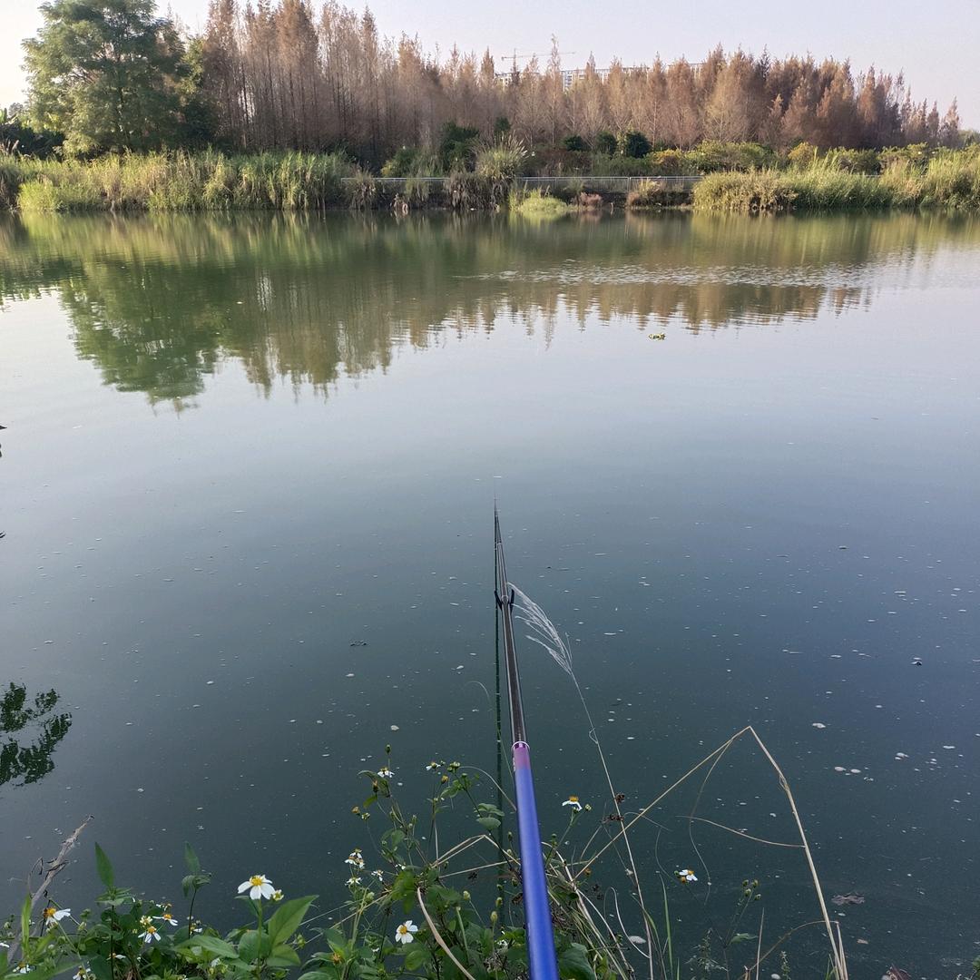 ღ᭄梦之渔ღ᭄ꦿ