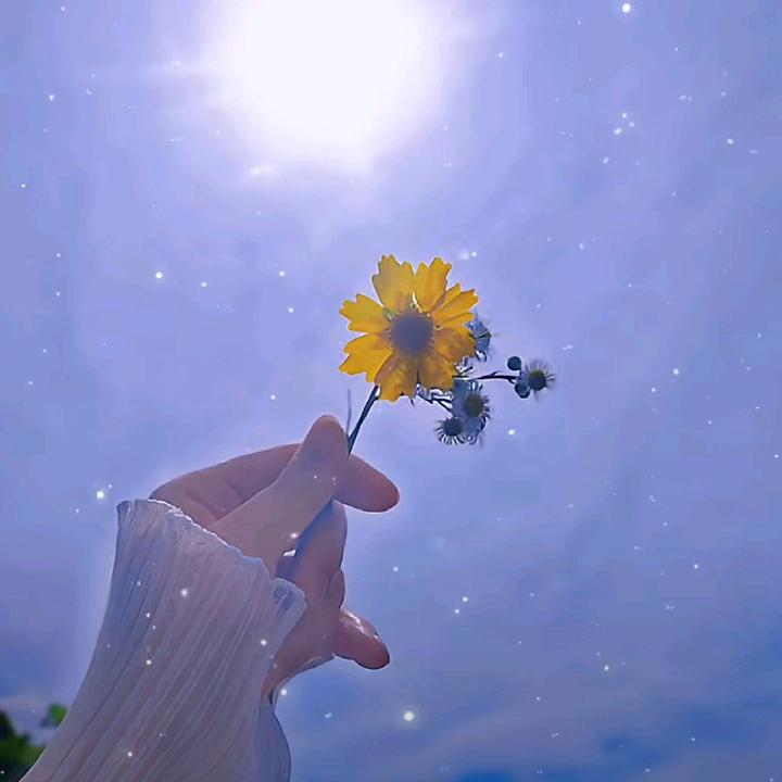 蕶渡