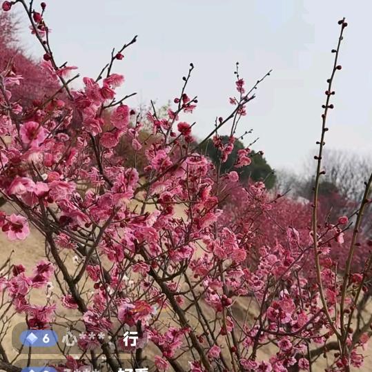 忘记一切专场号！