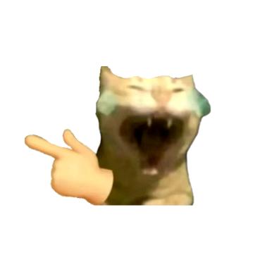 往日不再