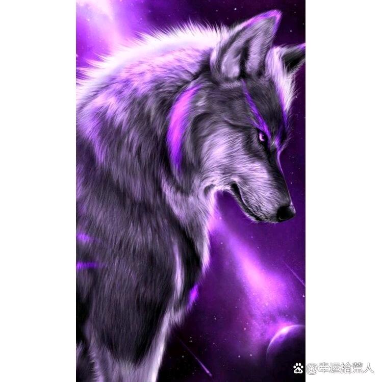 🐺狼哥🐺