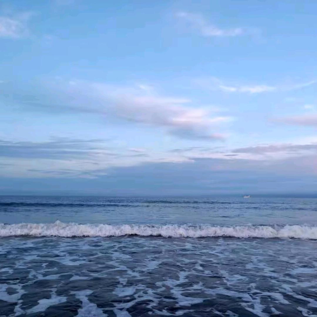 东莞市揩励有限公司宠粉号