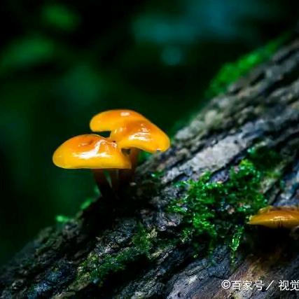 雨落倾城夏未凉