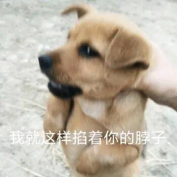 🌈想咋子嘛🌈