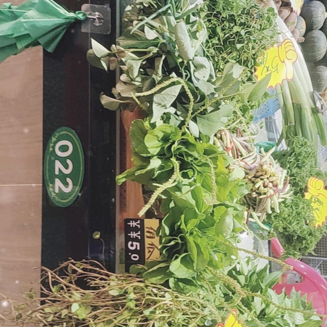 三亚吉阳区榕根市场农家野菜