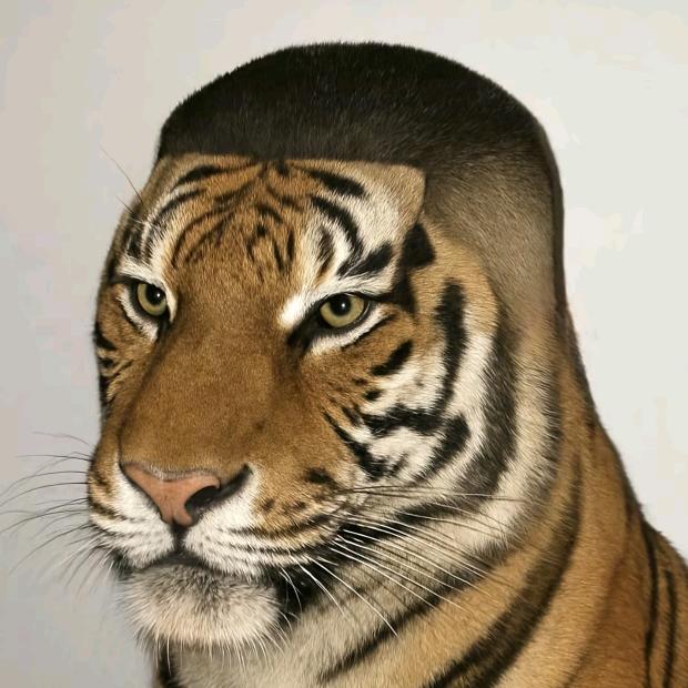 生腌深海胖头鱼