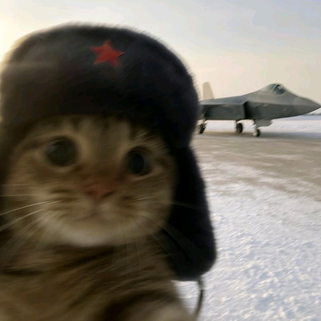 呃呃呃呃