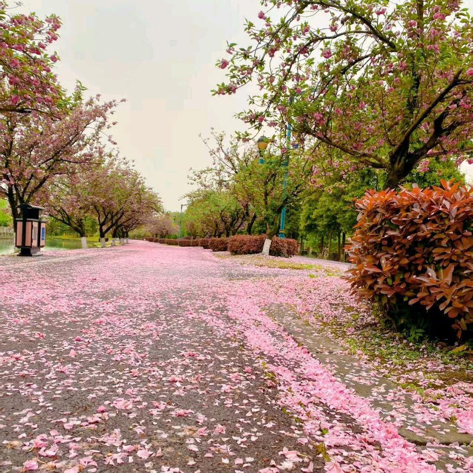 ღ封心᭄锁爱🐒拒绝私聊