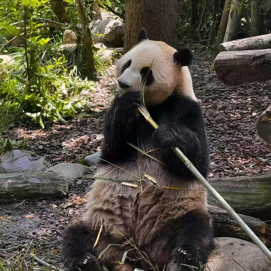 有始有终