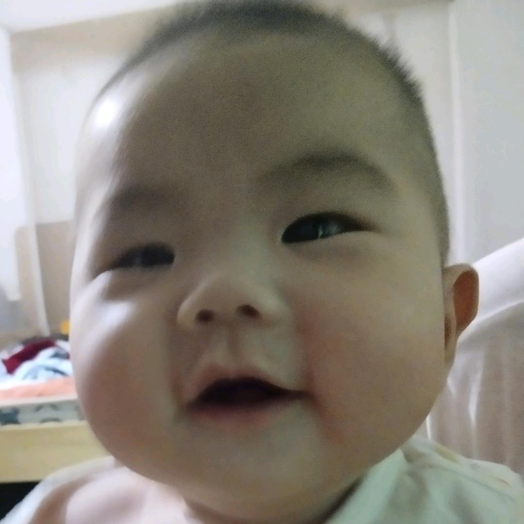 金蝉养殖