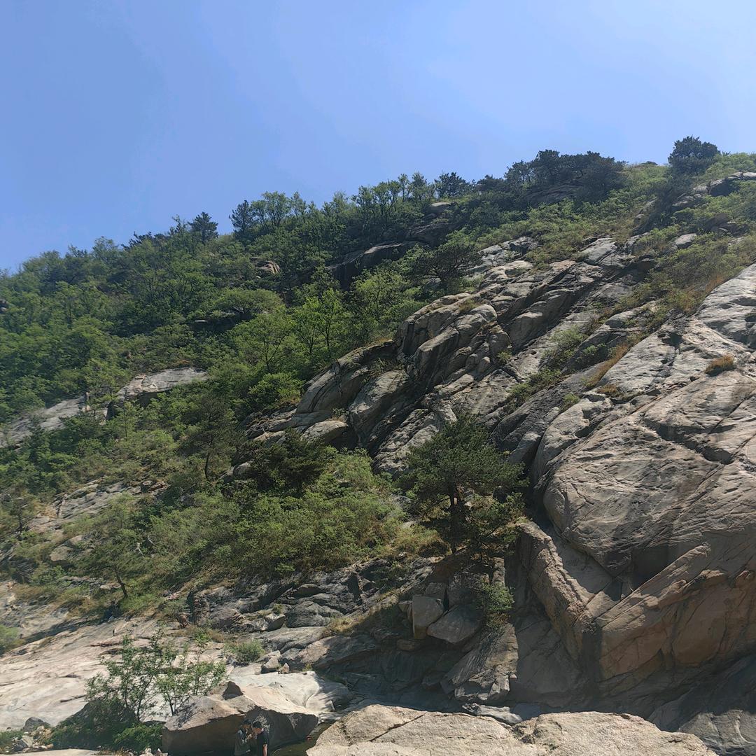 陪你看海