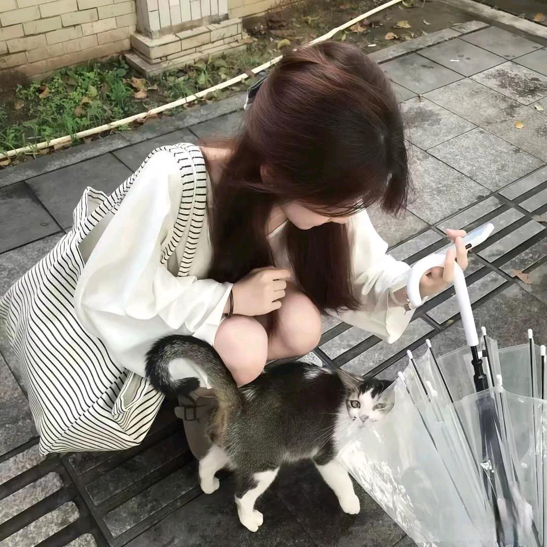 诺颜.