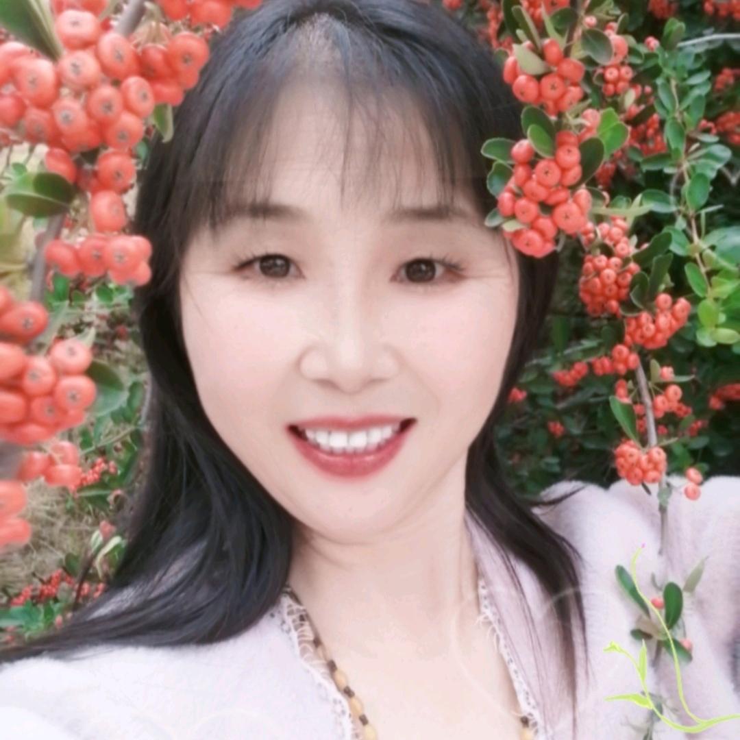 含羞草