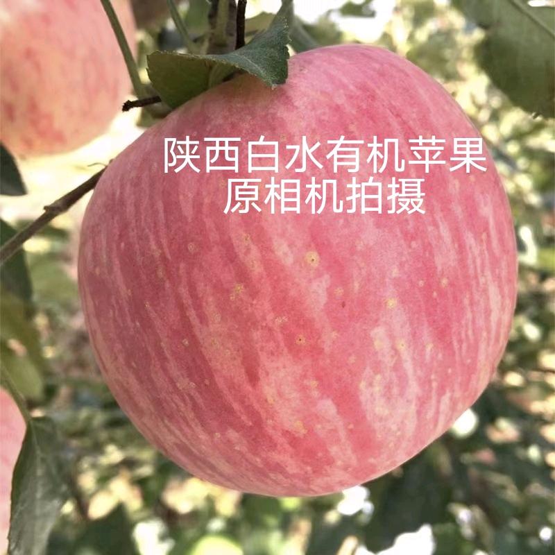 随缘  互粉