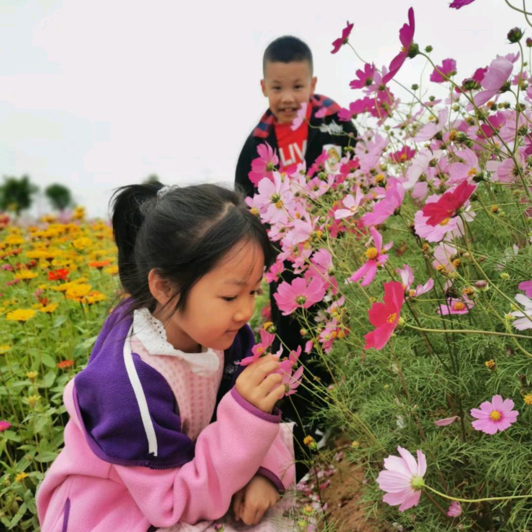 小杜同学