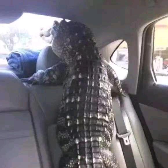 ㅤ——展开379条回复▼ᅠᅠᅠᅠ