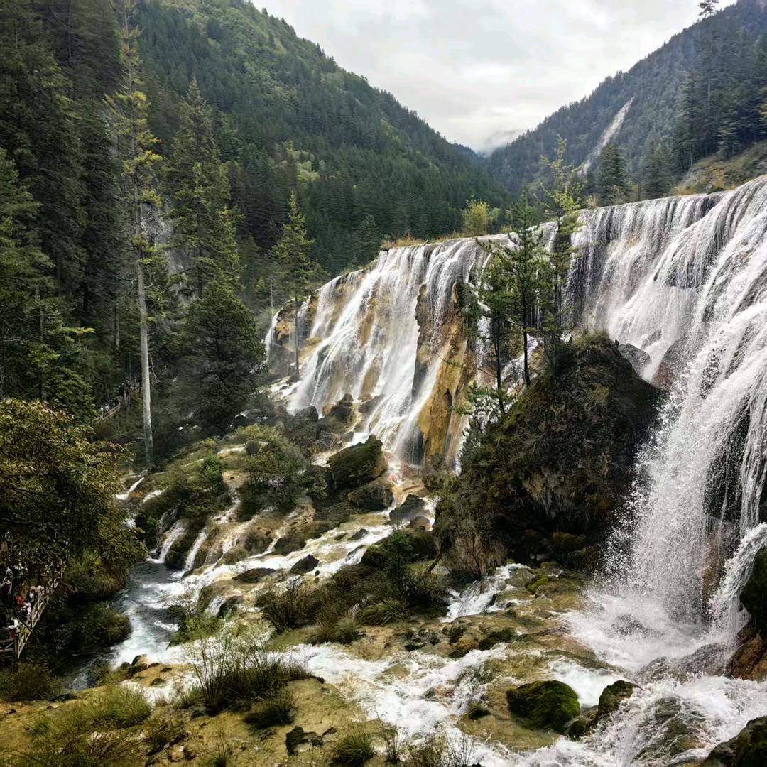 余生随心🎶🎶🎶