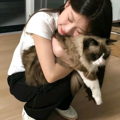呼啦啦