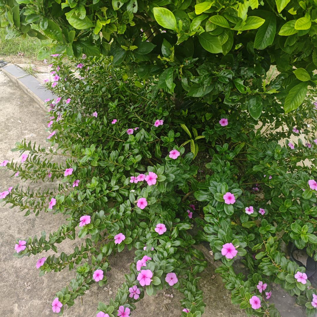 美美穿搭