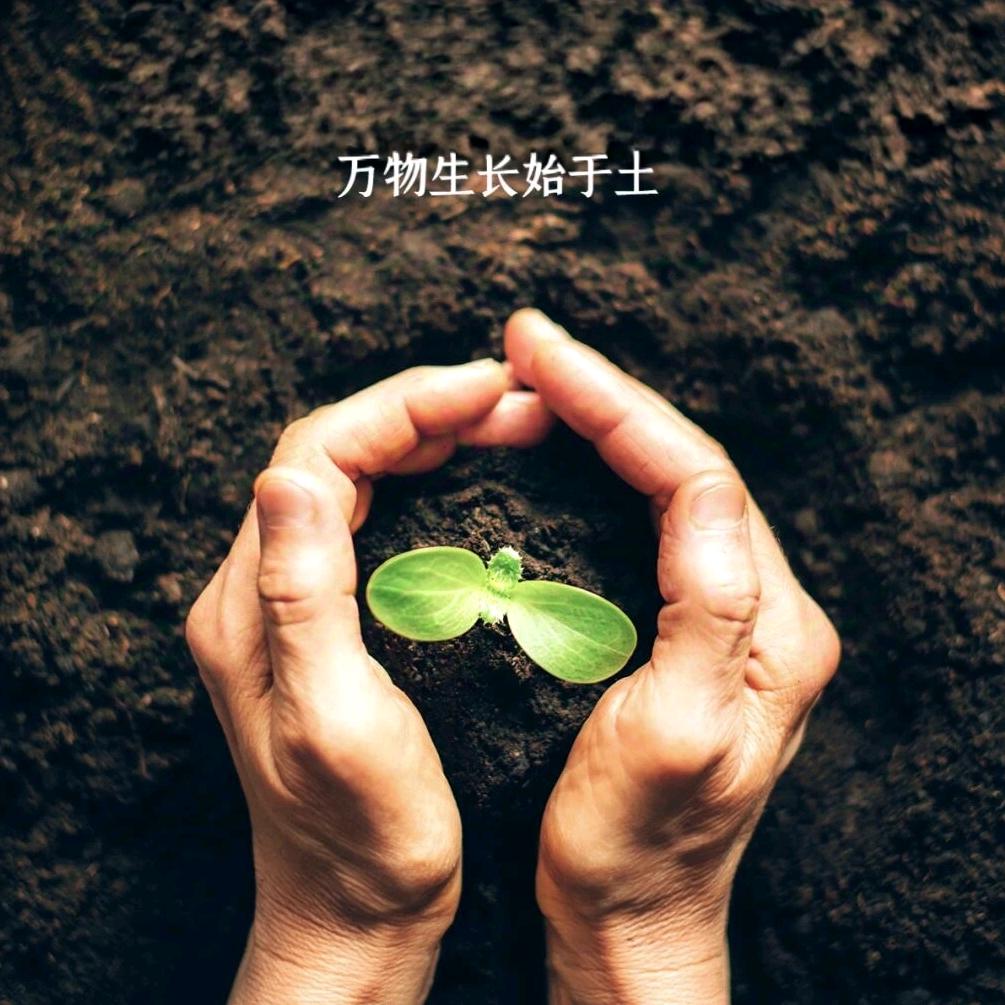 一方净土