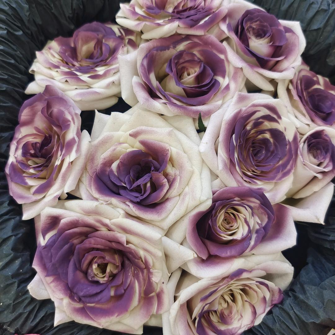 李美彤姐姐🥰🥰