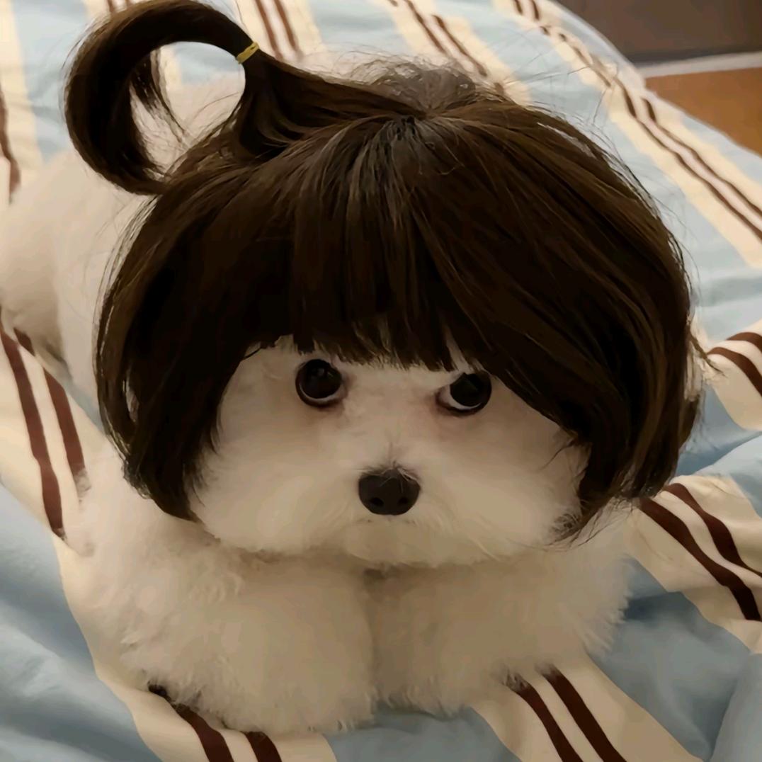 请叫我甜甜˃ʍ˂