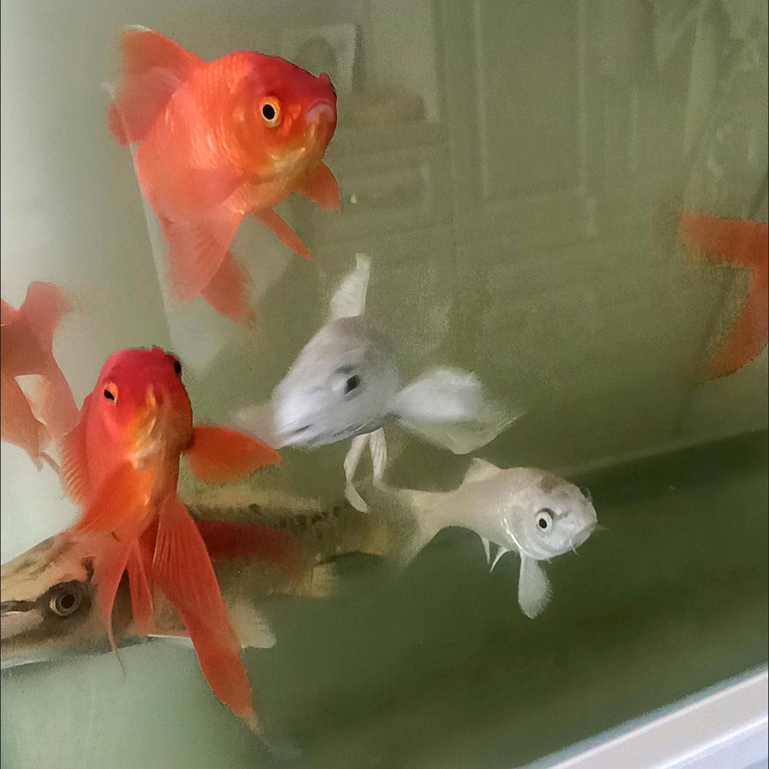 💋小情歌✨💫