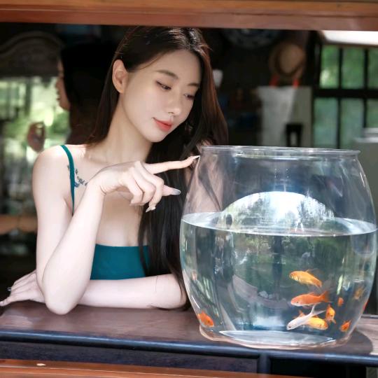 菜糖局