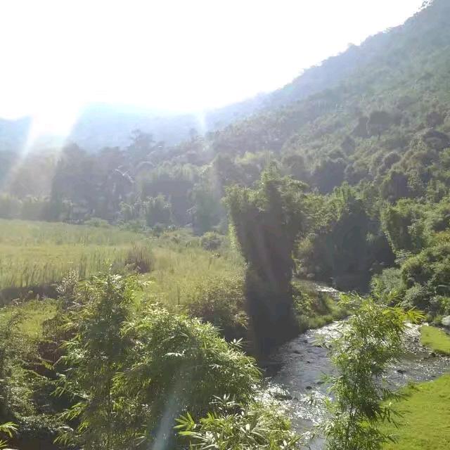 扶阳
