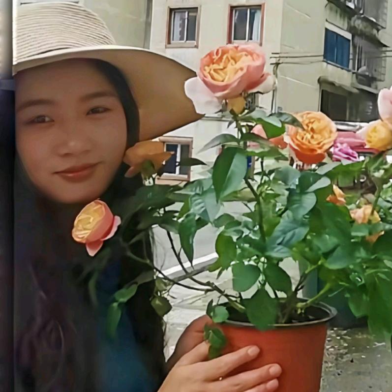 有菜园和花园的阿婷婷