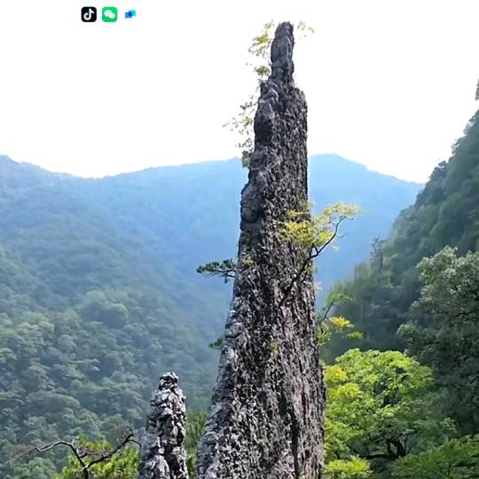 魅力当阳