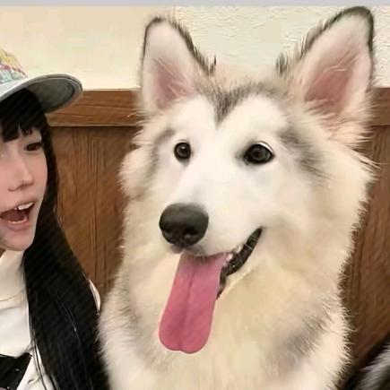 木有好听的名字