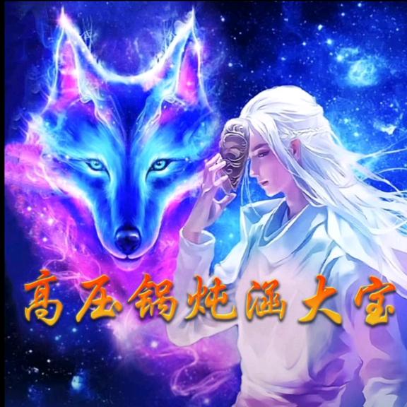 高压锅炖大宝