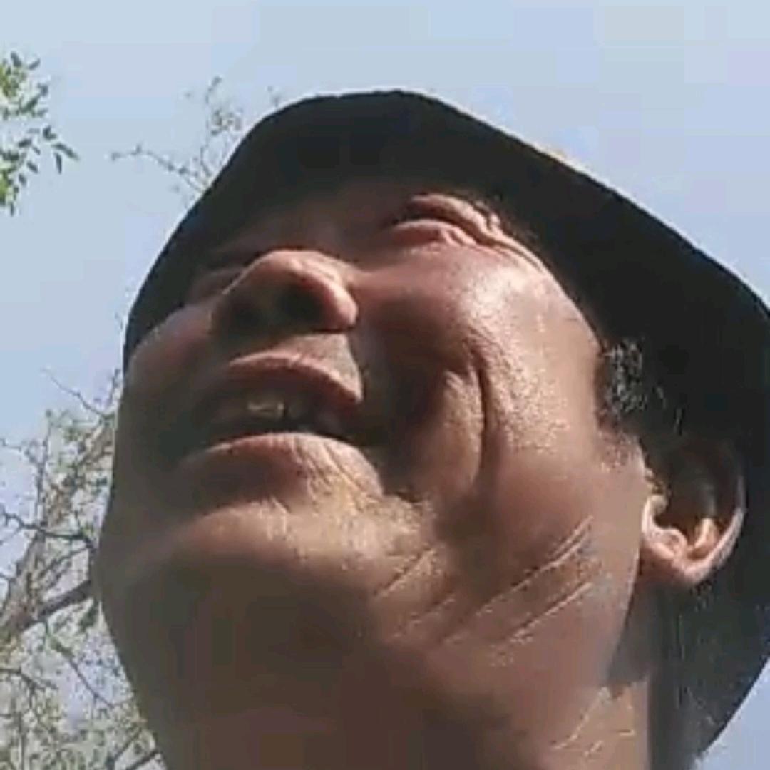 ✺范儿爺✺