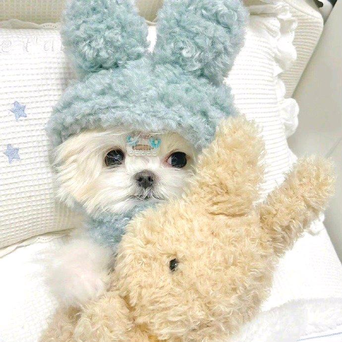 两颗星星(剪辑版)