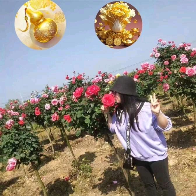红姐大嘴巴