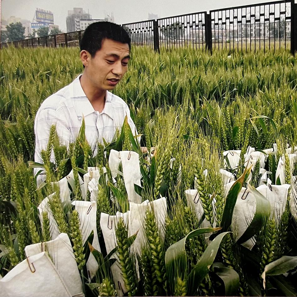 农业赵师傅