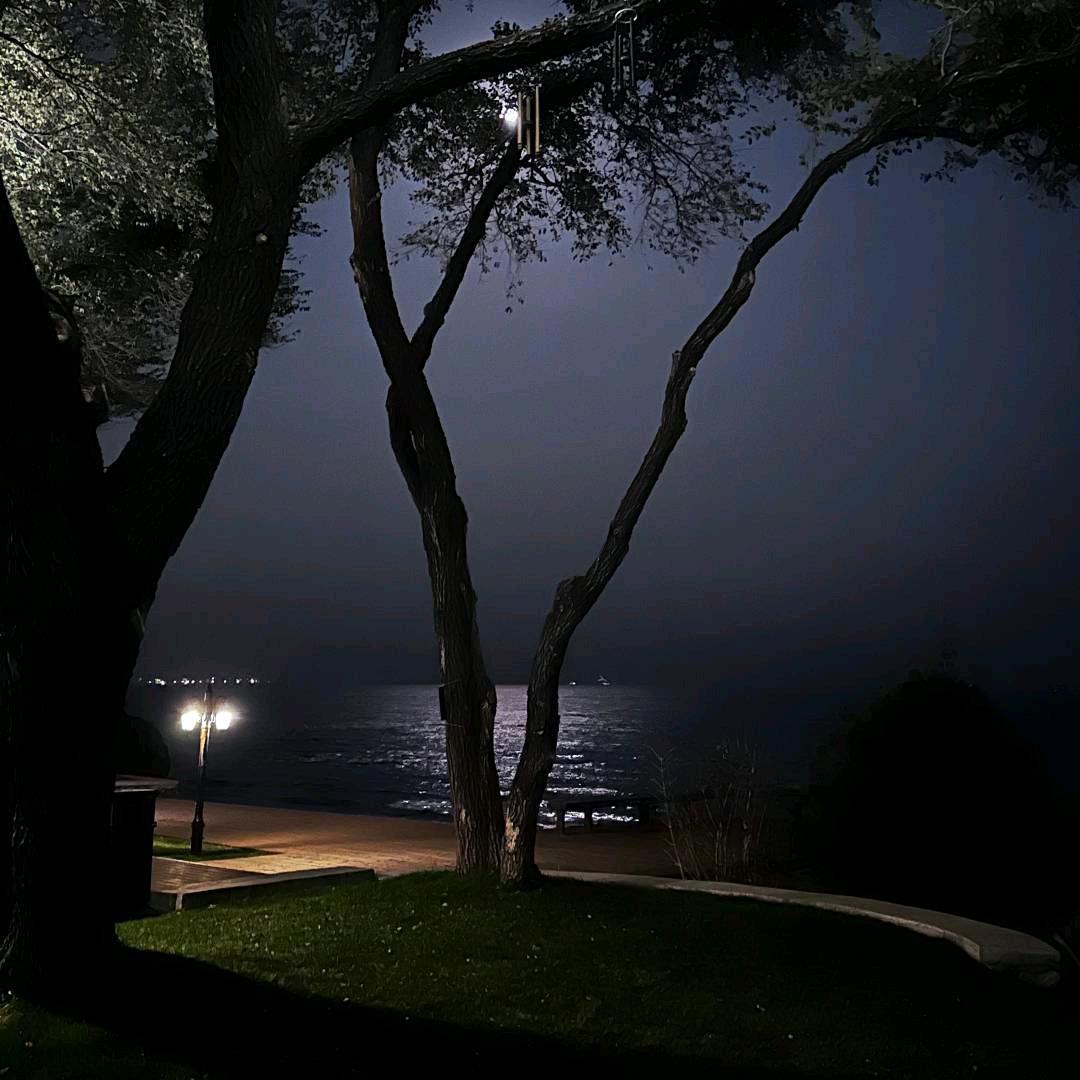 小宁（诚信互关）