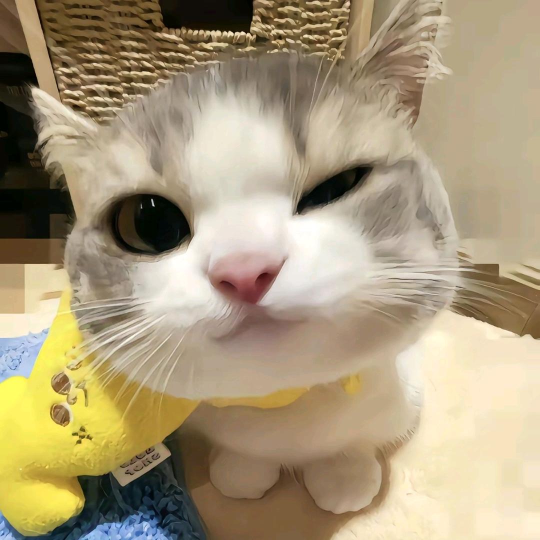 XR博