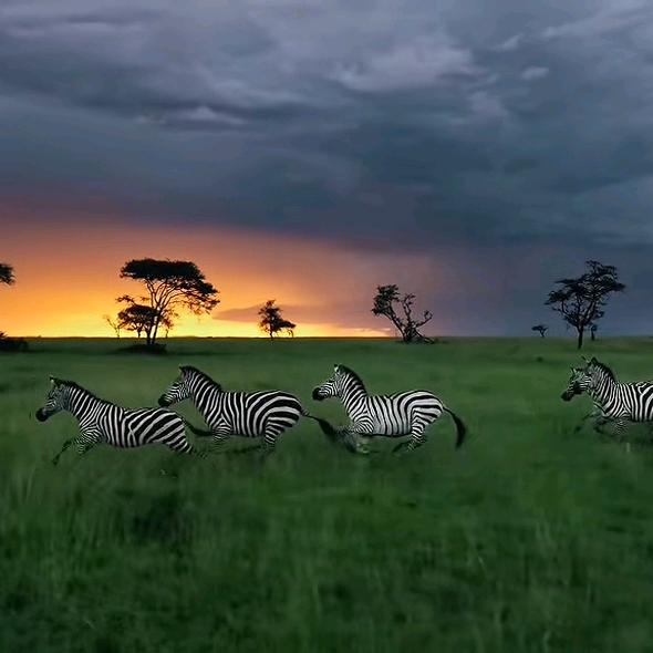 大雾回声   国游