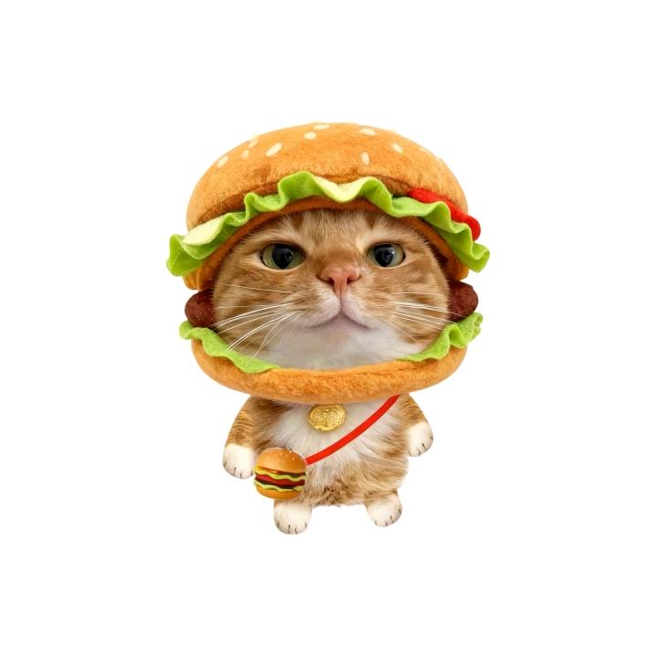 爱吃抹茶香菜的皮蛋懒洋洋蛋挞汉堡大王