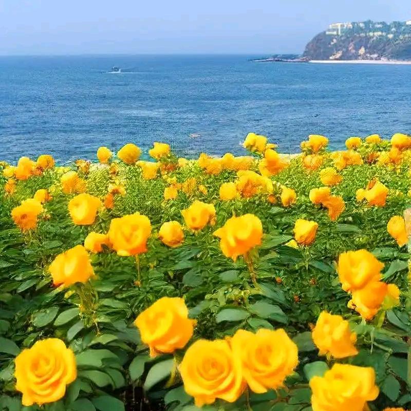 ঞ 好ᨶ႒ᩚ运ᥫᩣ໌້ᮨ加满✨: ঞ
