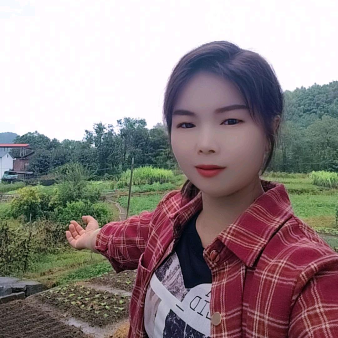 阿 兰  养蜂人🐝