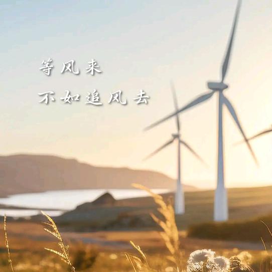 梦的翅膀