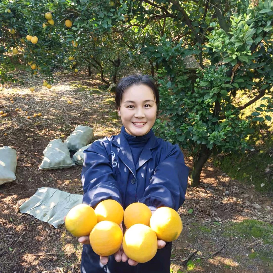 Ms.zhang