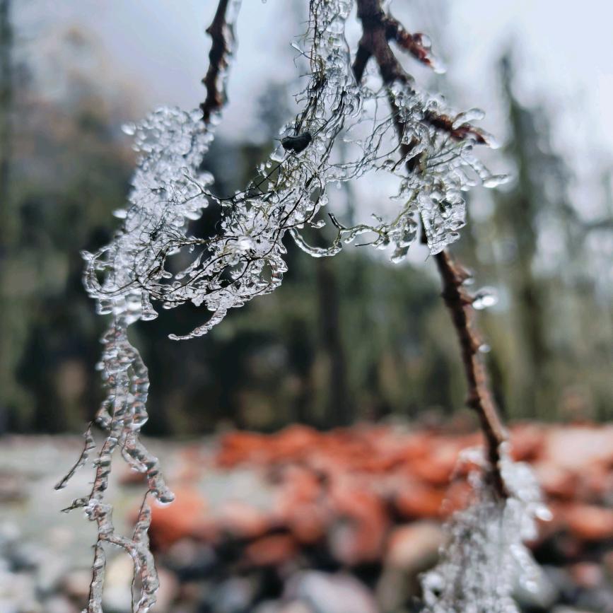 漫...雪