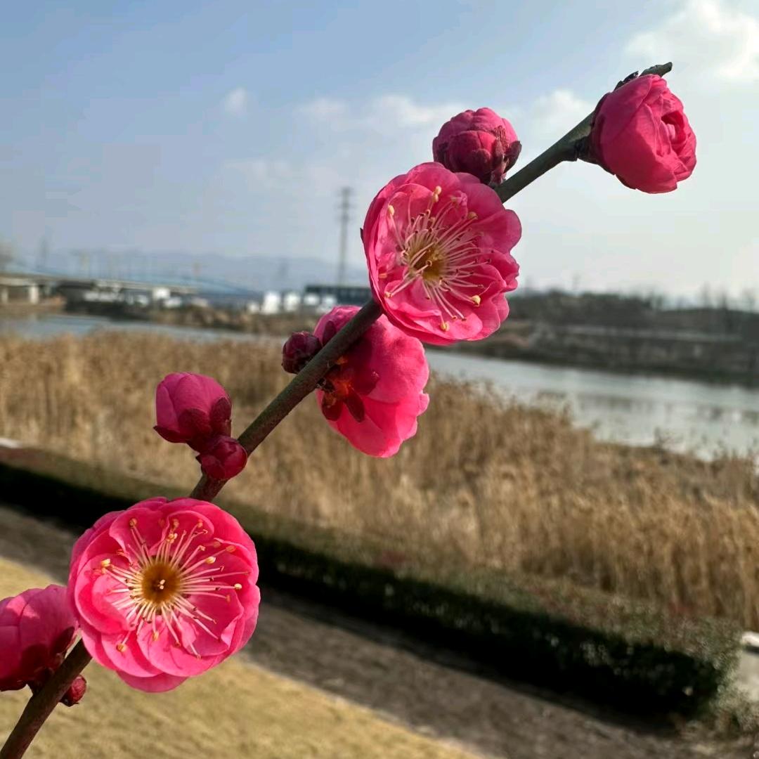 🐉砥砺前行🐉