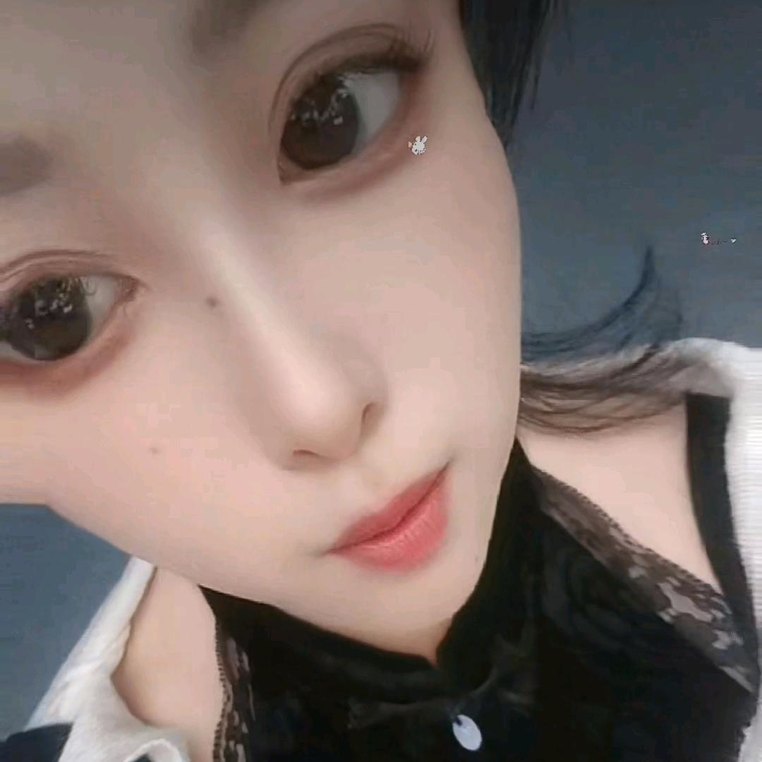 成都金德全围栏防护网(全国发货)