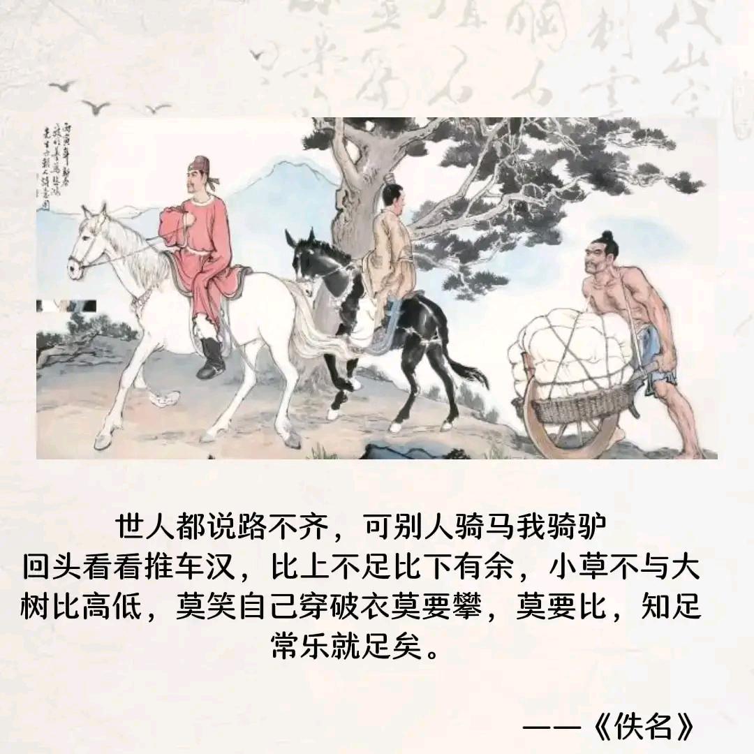 明明鸽店（小王）